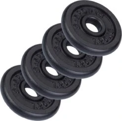 ScSPORTS® Halterschijven Set 5 Kg - Gietijzer - 30 Mm - 4x1,25 Kg - Gewichten